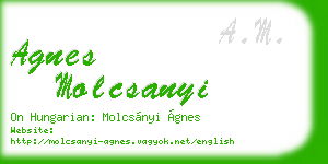 agnes molcsanyi business card